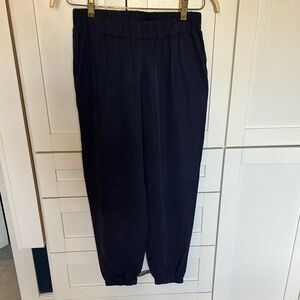 Sabine Blue Casual Pants